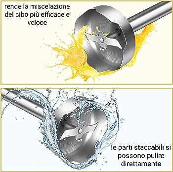 Frullatore ad Immersione Inox Mixer con Accessori 800 W